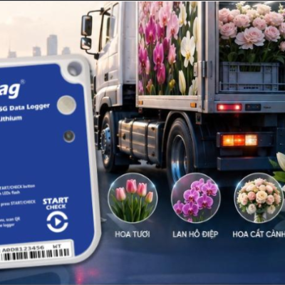 Giữ Trọn Vẻ Đẹp Hoa Tươi Trên Mọi Hành Trình