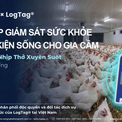 Giải Pháp Giám Sát Sức Khỏe & Điều Kiện Sống Gia Cầm Toàn Diện
