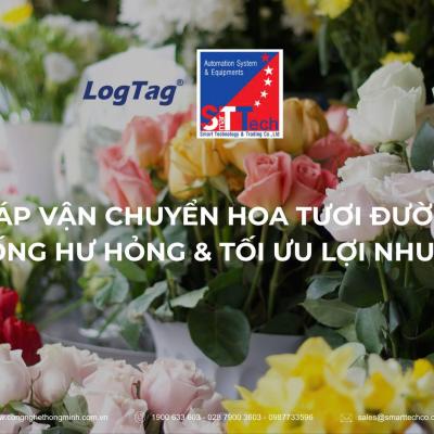 GIẢI PHÁP VẬN CHUYỂN HOA TƯƠI ĐƯỜNG DÀI: CHỐNG HƯ HỎNG & TỐI ƯU LỢI NHUẬN